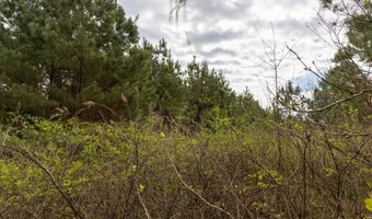 Tbd Pump Station Rd, Ashdown, AR 71822