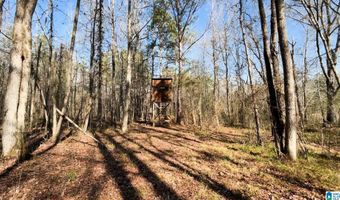 439 WILD ROSE Trl, Ashville, AL 35953