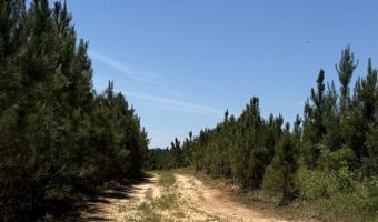 county road 222, Abbeville, AL 36310