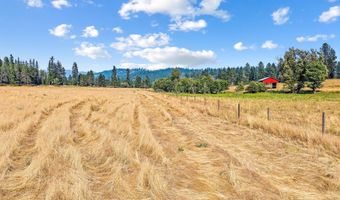 2228 BLUE CREEK Rd, Addy, WA 99101