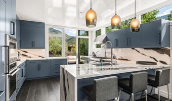 627 E Hopkins Ave 201, Aspen, CO 81611