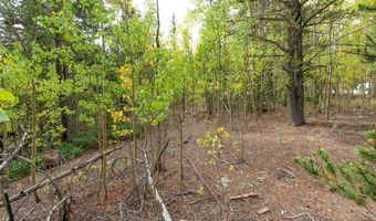 452 QUARTZVILLE Rd, Alma, CO 80420