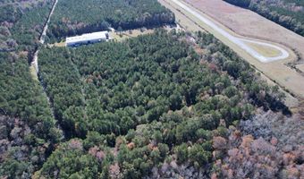 793 Puncheon Creek Dr, Andrews, SC 29510