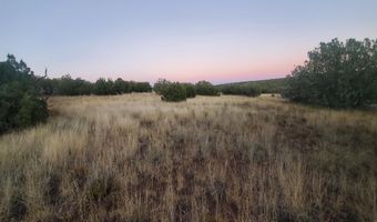 1 COUNTY ROAD N8155, Concho, AZ 85924