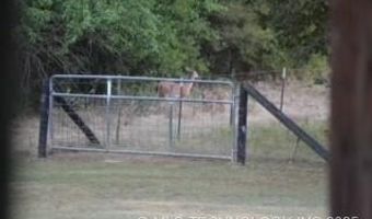 36953 Us Highway 70, Bennington, OK 74723