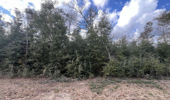 Vancouver Drive, Alford, FL 32420