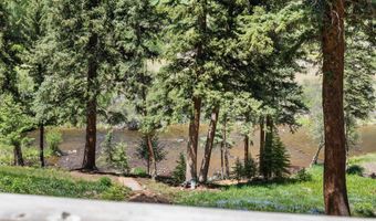 768 Kings Lake Rd, Basalt, CO 81621