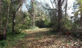 7682 Kershaw Rd, Arapahoe, NC 28510