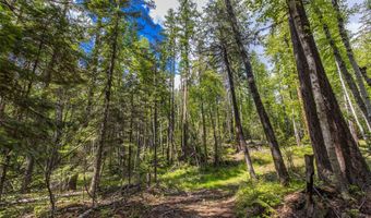 Nhn Red Hawk Drive, Bigfork, MT 59911