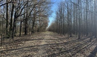 6075 Curtis Rd, Batesville, MS 38606