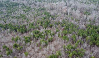 Saint John Road, Braxton, MS 39044