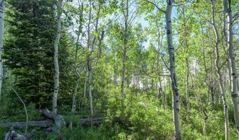 CARROLL Lane, Daniel, WY 83115