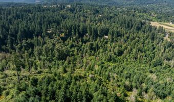 Bogynski RD, Oregon City, OR 97045