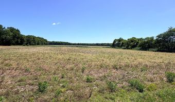 DAISEY RD, Frankford, DE 19945