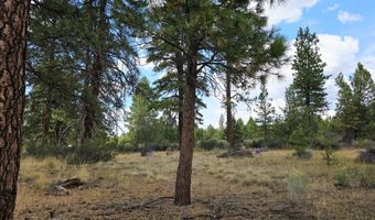 Swan Drive 16 & 17, Bonanza, OR 97623