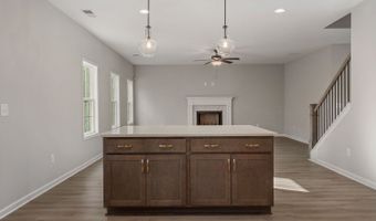 Bill Dorn Road Plan: Harrison, Appling, GA 30802