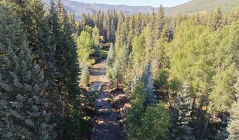 201 Golden Forest Rd, Bayfield, CO 81122