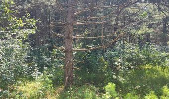 Lot 114 County Road Z, Arkdale, WI 54613