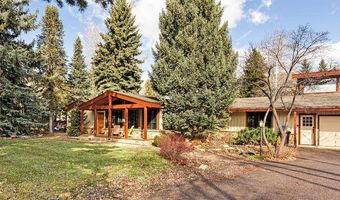 1280 Snowbunny Ln, Aspen, CO 81611
