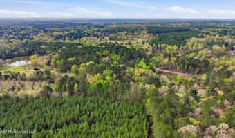 Harrisville Braxton Road, Braxton, MS 39044
