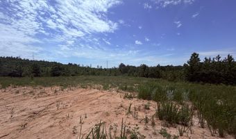 Tucker Road lot 8, Bath Springs, TN 38311