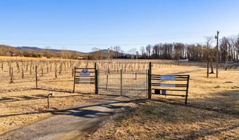 4500 WINERY Ln, Barboursville, VA 22923