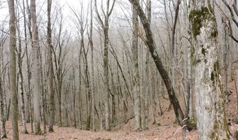 191 Bens Bnd, Bakersville, NC 28705