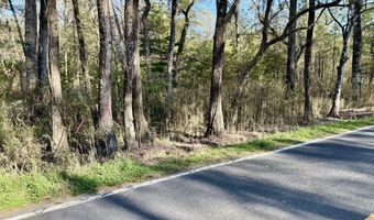 6956 Parkers Ferry Rd, Adams Run, SC 29426