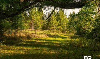 Flowers Road, Bay Minette, AL 36507