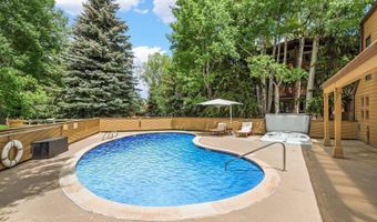 625 S WEST END St 8, Aspen, CO 81611