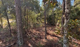 Lot 10 16th Ave, Bell, FL 32619
