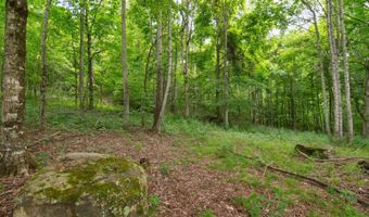 5144 Judson Rd, Alderson, WV 24910