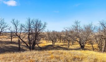 High Pines Lane, Belle Fourche, SD 57717