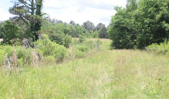 Vine Drive, Brandon, MS 39047