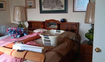 1 Iron Mine Rd, Carlin, NV 89822