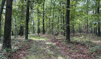 26 33 ACRES HICKORY CORNER Rd, Augusta, WV 26704