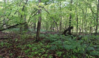 104 Th Ave, Allegan, MI 49010