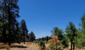Tbd STONE CREEK RD CR 2117, Alpine, AZ 85920
