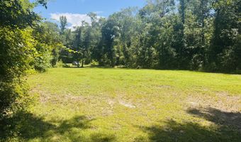 1042 Lake Cadeli Rd, Bartow, GA 30413