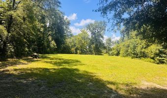 1042 Lake Cadeli Rd, Bartow, GA 30413