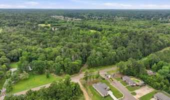Vine Drive, Brandon, MS 39047