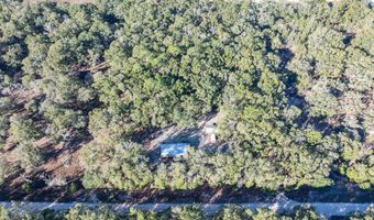 1809 Rosemary Cir, Bell, FL 32619