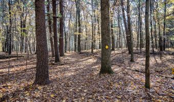 Lot 33 S Badger Lane, Arkdale, WI 54613