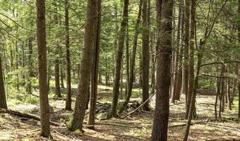 154 Lang Rd, Accord, NY 12404