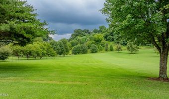 1520 Ripley Island Rd, Afton, TN 37616