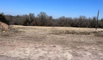 271 Rolling Ranch Blvd, Alvord, TX 76225
