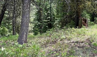 53 Landale Ln, Cascade, ID 83711