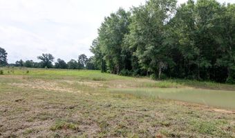 618 CR 2619, Alto, TX 75925
