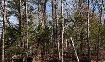 Tree Line Lane lot 1191, Baneberry, TN 37890