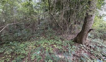 77 ACRE Leary N Rd, Ashburn, GA 31714